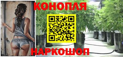 гидра Можайск
