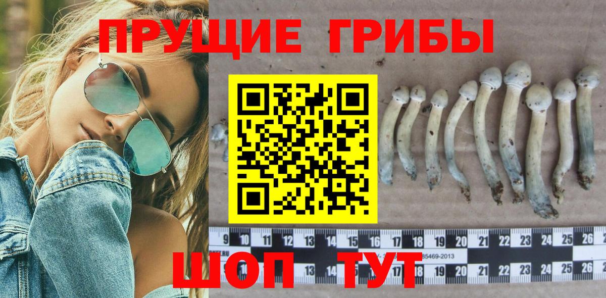 Галлюциногенные грибы ЛСД Сунжа