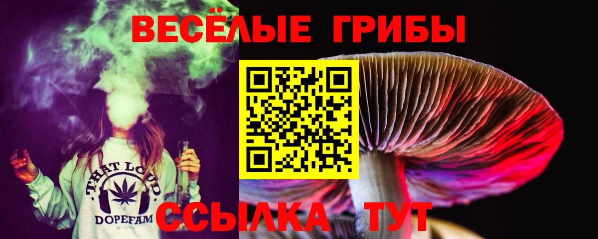 что такое   Галлюциногенные грибы мухоморы  Вход с VPN  Сунжа 